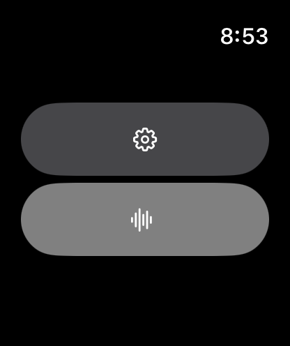 Stenographer on Apple Watch